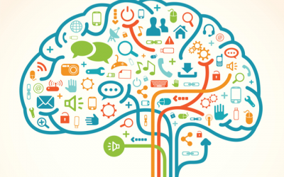 Do you know about Executive Function